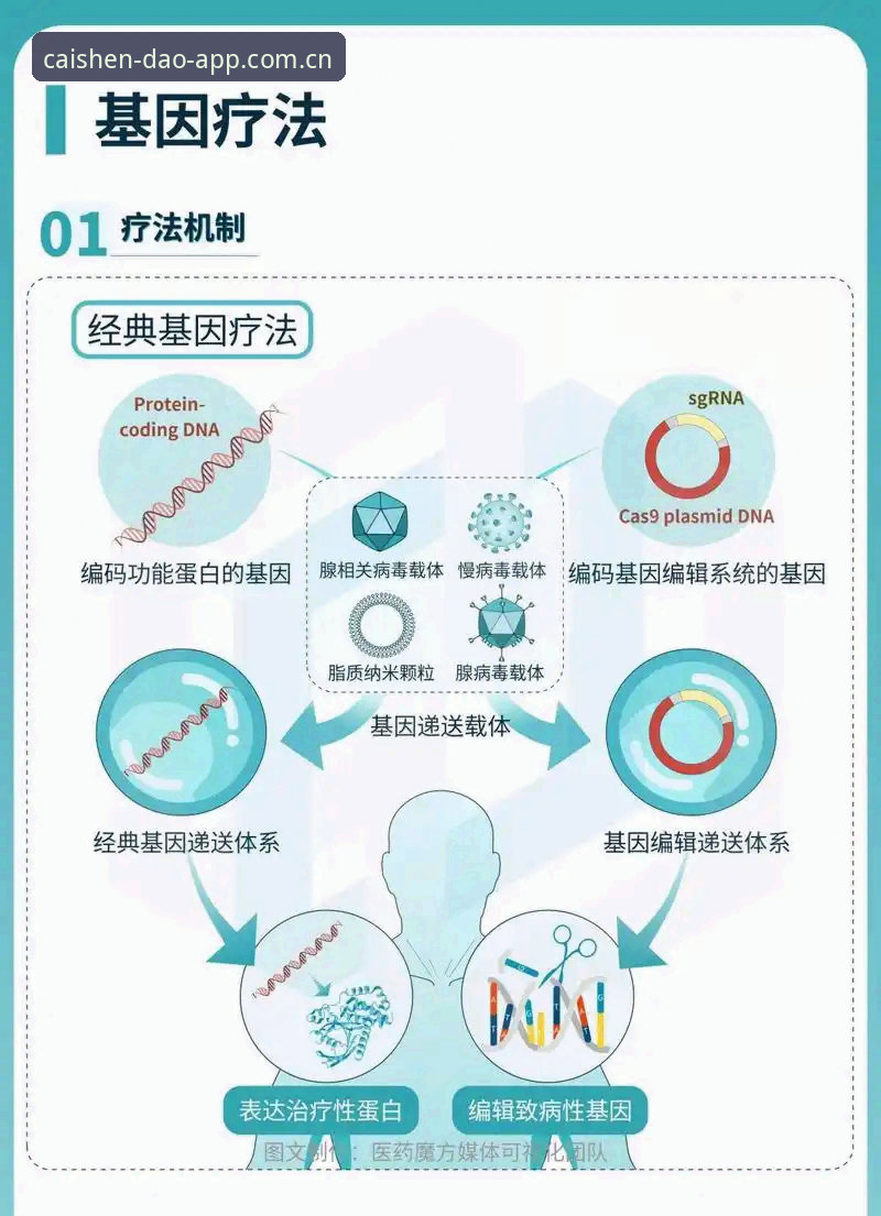 深度揭秘世界杯“冷场”背后：签证困局如何搅动全球球迷的观赛梦
